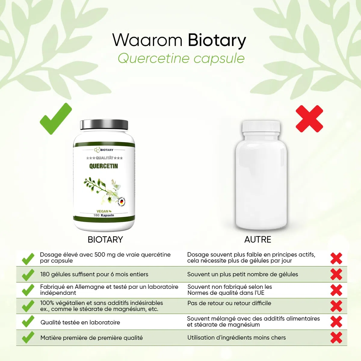 Quercétine – 500 mg – 180 gélules – 6 mois – Avec boîte à pilules – Vegan – Extrait de fleur de Sophora du Japon 95% - Sans additifs
