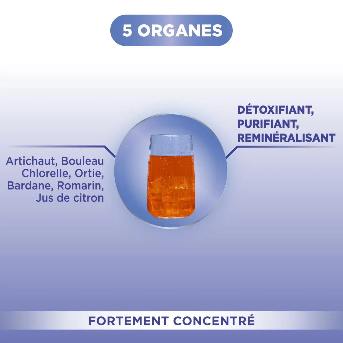 Forté Pharma - Forté Détox 5 organes - Artichaut, Bouleau, Bardane, Romarin - Complement alimentaire integrale detox, 5 émonctoires, Elimination - 2x500ml, 20 jours