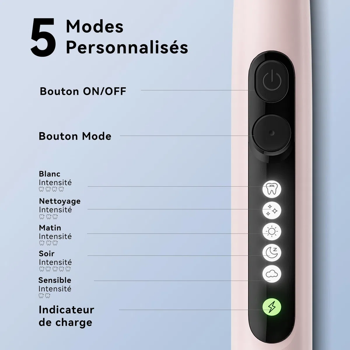 Seago Brosse à dents électrique rotative rechargeable, brosse à dent électrique avec étui voyage, 8 têtes pour familial, 5 modes, minuterie 2 min, étanche IPX7, SG2607, Rose