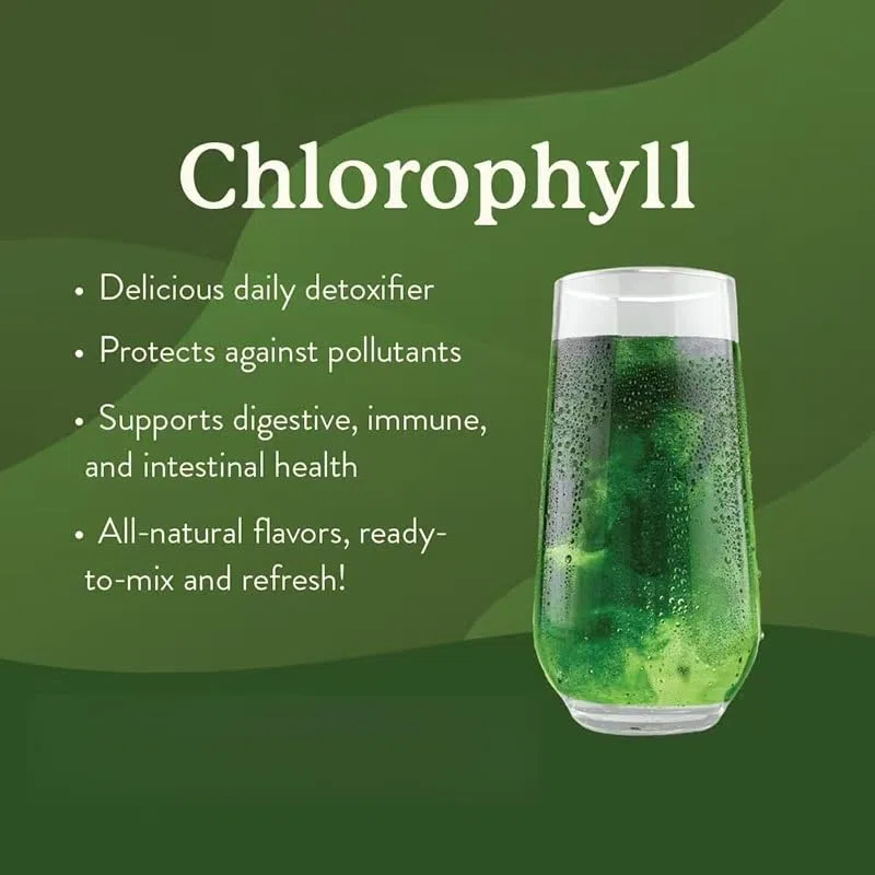 Packs of sticks of chlorophylle,suitable for men and women | Boostez votre détox et améliorez la santé intestinale dans des packs de
