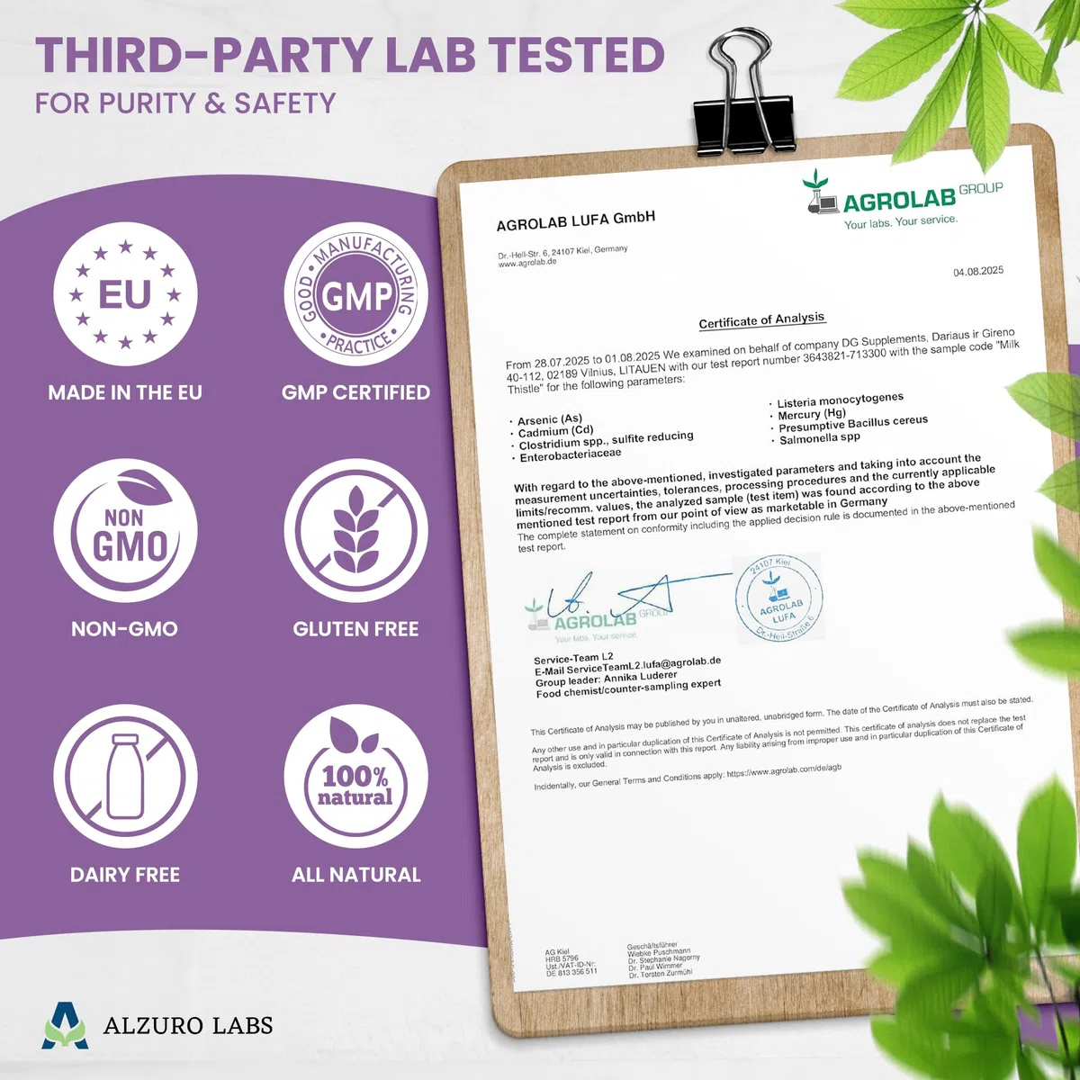 Milk Thistle | 6 000 mg Équivalent | Extrait 15:1 500 mg (80% Silymarine) | 180 Gélules Végétales | Chardon-Marie – Silybum marianum | GMP & Testé en Laboratoire Indépendant