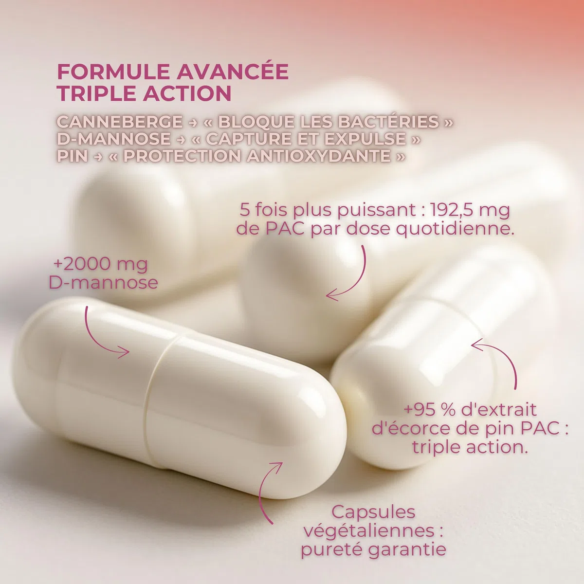 Cranberry gélules 5x Puissance + D-Mannose 2000mg – Cystomed Triple Action 120 Gélules avec 192,5mg PACs Standardisés + Extrait de Pin – Cranberry Gélules Scientifiquement Validées (EFSA/PubMed)
