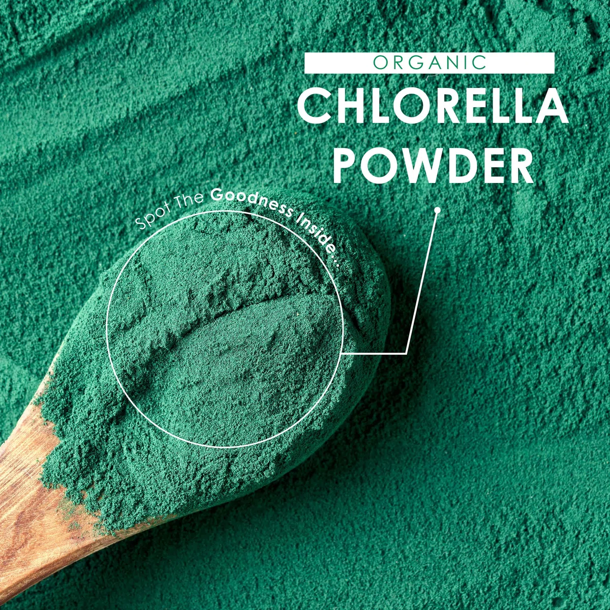 Poudre de chlorella bio 200 g - Paroi cellulaire cassée - Complément alimentaire pur sans additifs - Sachet refermable et recyclable - par Alpha01