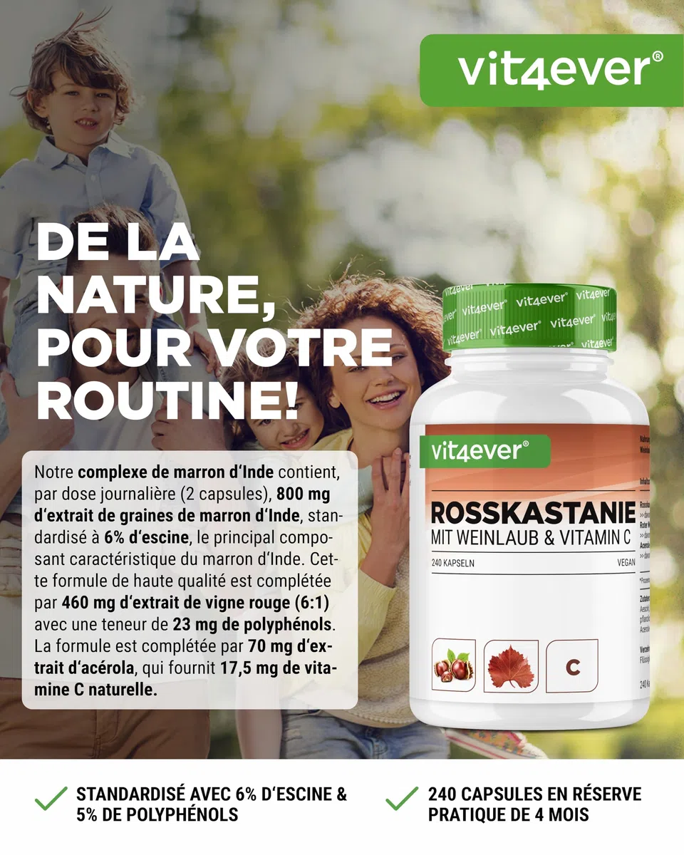 Extrait de marron d'Inde - 240 gélules - Hautement dosé avec 1330 mg d'extrait par portion journalière - Marron d'Inde avec feuilles de vigne & vitamine C d'acérola - Sans additif indésirable, végétal