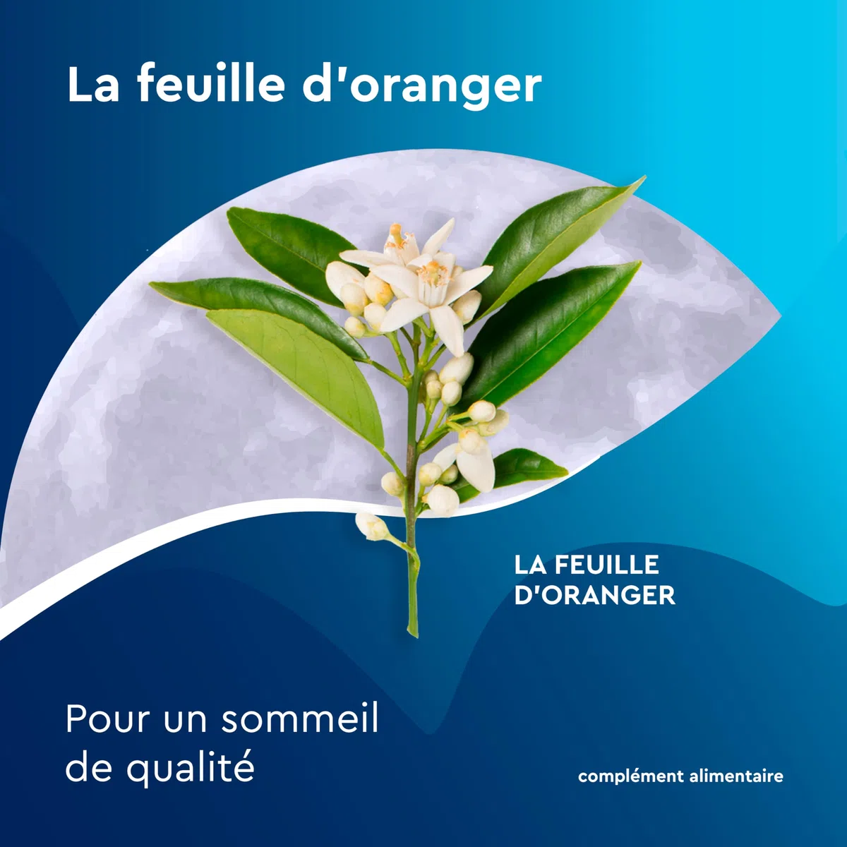 EuphytoseNuit Sachet - Complément alimentaire sommeil adulte - Mélatonine 1mg Endormissement rapide - Feuille d'Oranger - 3 Packs de 20 Sachets à infuser - 20 nuits de sommeil - Fabriqué en Europe